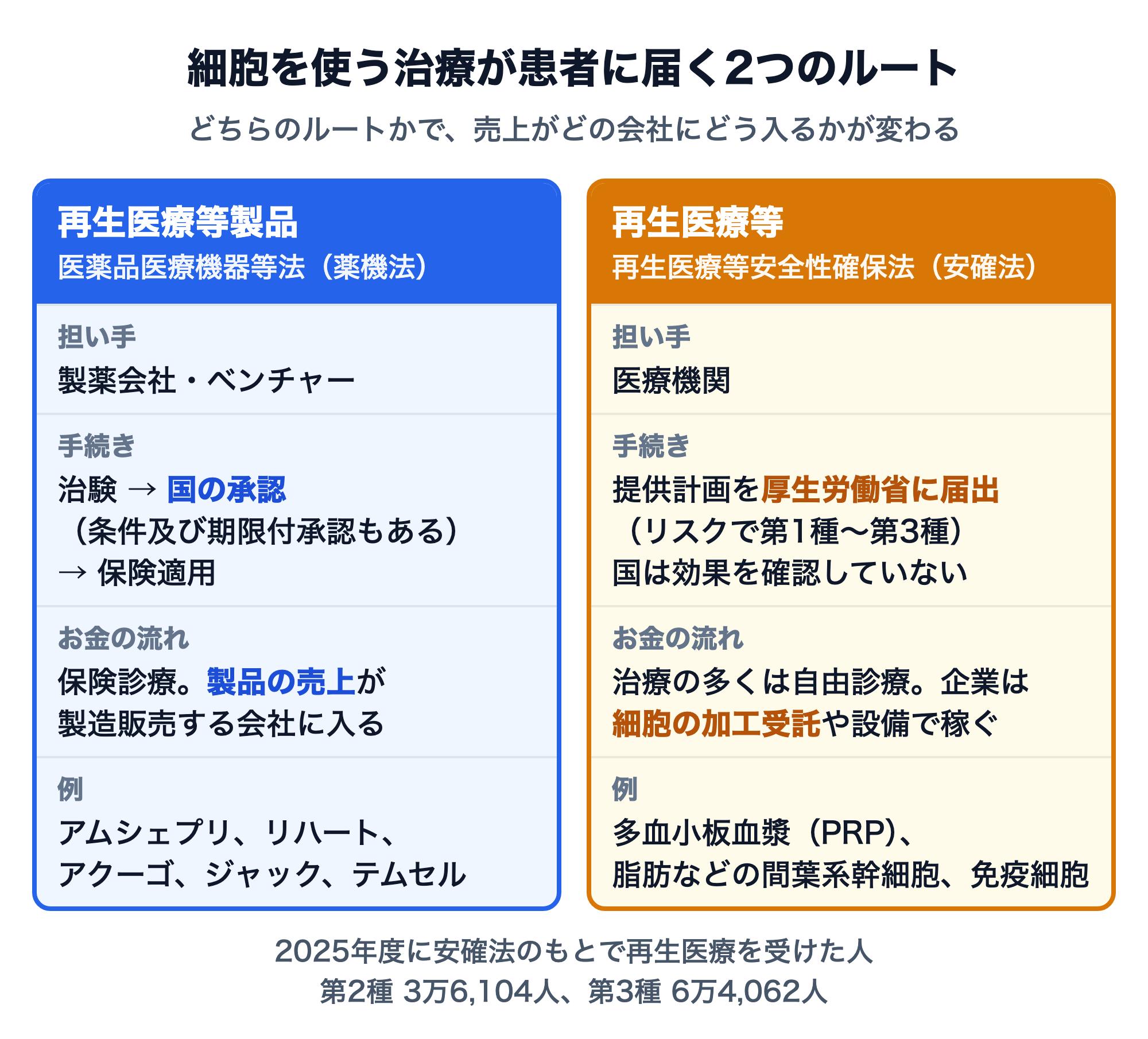 細胞を使う治療が患者に届く2つのルートの比較図。薬機法の再生医療等製品は製薬会社・ベンチャーが治験を経て国の承認と保険適用を受け、製品の売上が企業に入る（例：アムシェプリ、リハート、アクーゴ、ジャック、テムセル）。安確法の再生医療等は医療機関が提供計画を厚生労働省に届け出て、多くは自由診療で行い、企業は細胞の加工受託や設備で稼ぐ（例：PRP、間葉系幹細胞、免疫細胞）。2025年度に安確法のもとで再生医療を受けた人は第2種3万6,104人、第3種6万4,062人