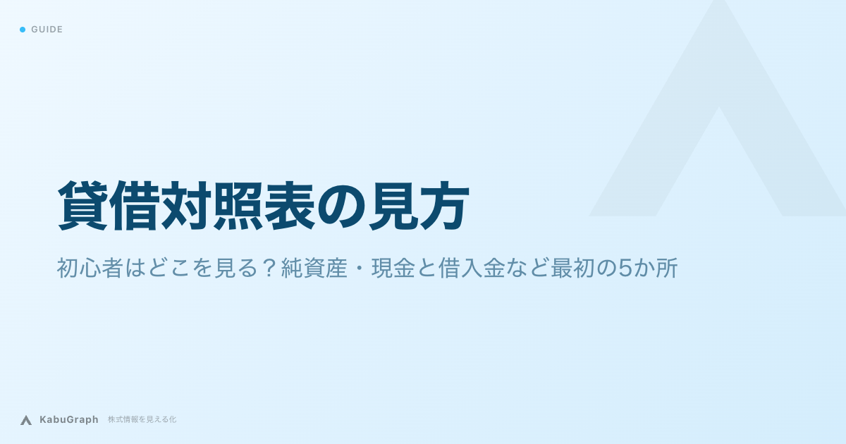 貸借対照表の見方｜初心者はどこを見る？純資産・現金と借入金など最初の5か所